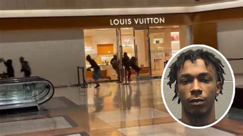 flash mob robbery louis vuitton